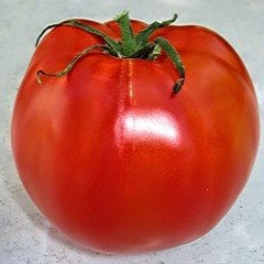 F1 Aşılı Tybeef Köy Domatesi Fidesi (4 adet)