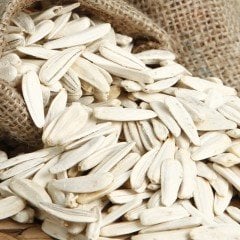 Doğal Beyaz Çerezlik Çitlemelik Ayçiçeği Çekirdeği Fidesi (5 Adet)