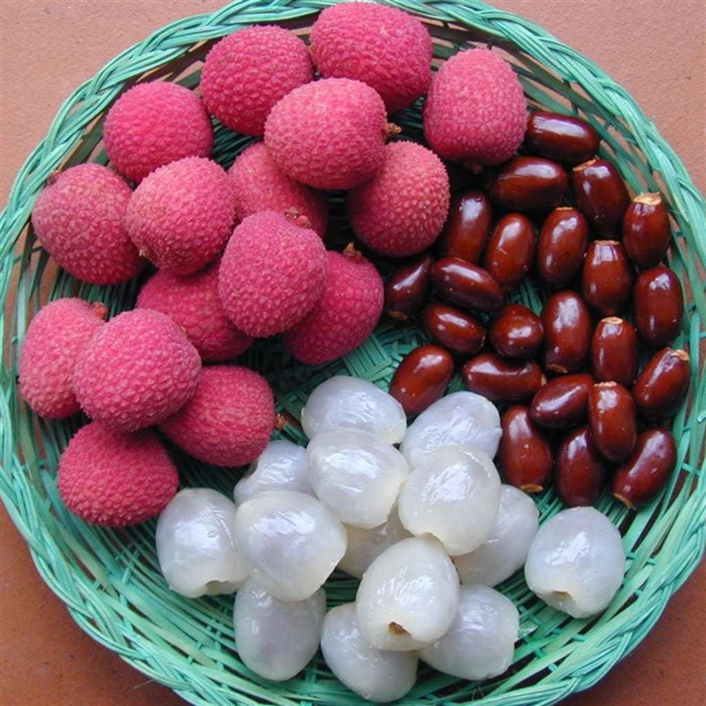 Tüplü Liçi (Lithci) Fidanı