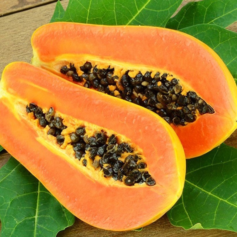 Tüplü Papaya(Ağaç Kavunu) Fidanı(150-250 cm) Meyve Verme Yaşında