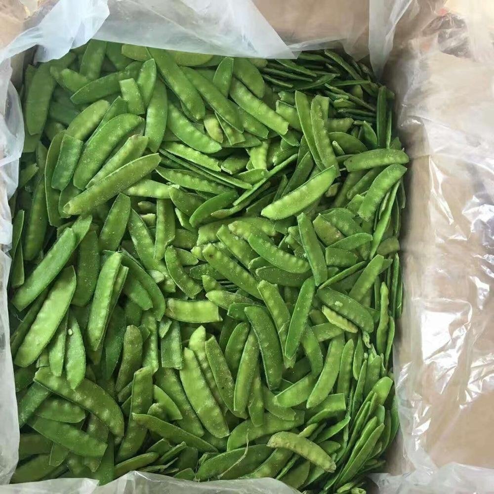 Yaprak Bezelye Fidesi (5 adet)