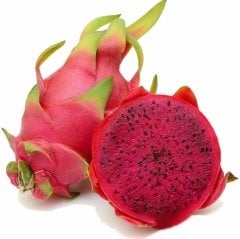Tüplü Meyve Verme Yaşında Kırmızı Pitaya Ejder Meyvesi Fidanı