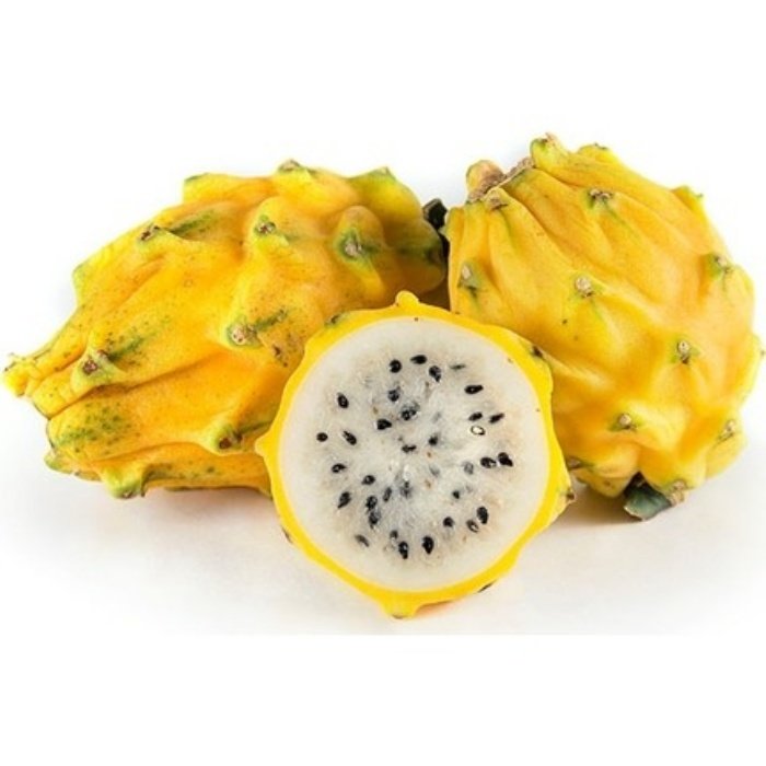 Tüplü Sarı Pitaya Yellow Dragon Fruit Ejder Meyvesi Fidanı