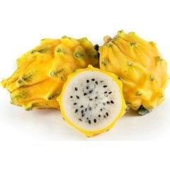 Tüplü Sarı Pitaya Yellow Dragon Fruit Ejder Meyvesi Fidanı