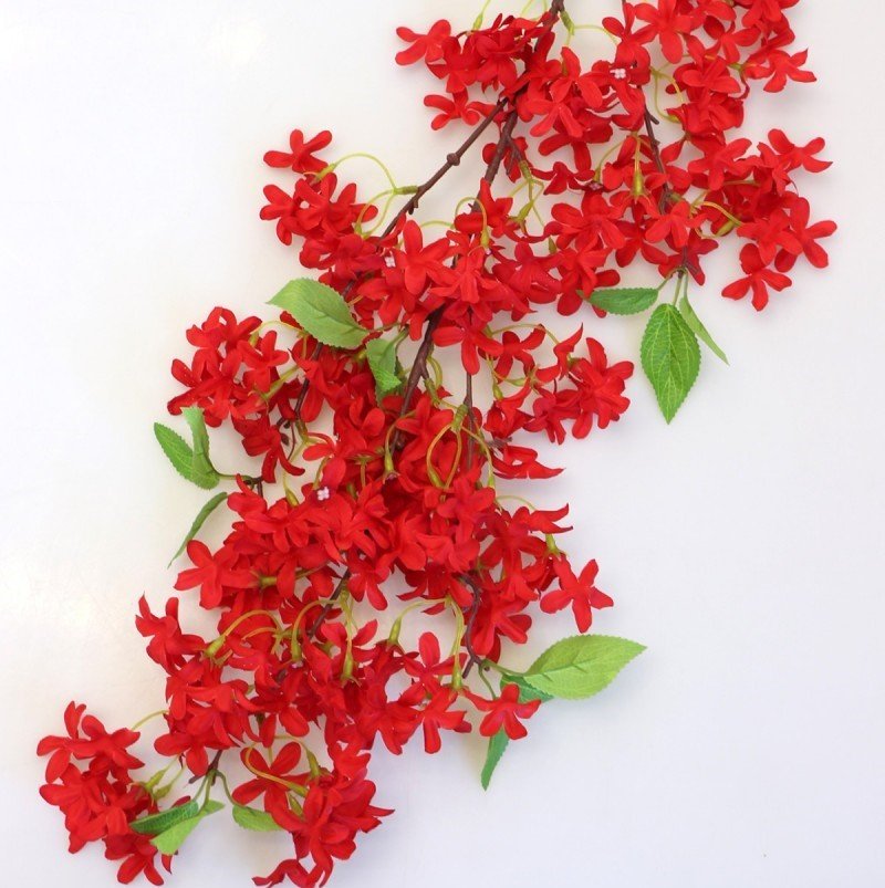 Tüplü Red Jasminum Beesianum Kırmızı Yasemin Fidanı