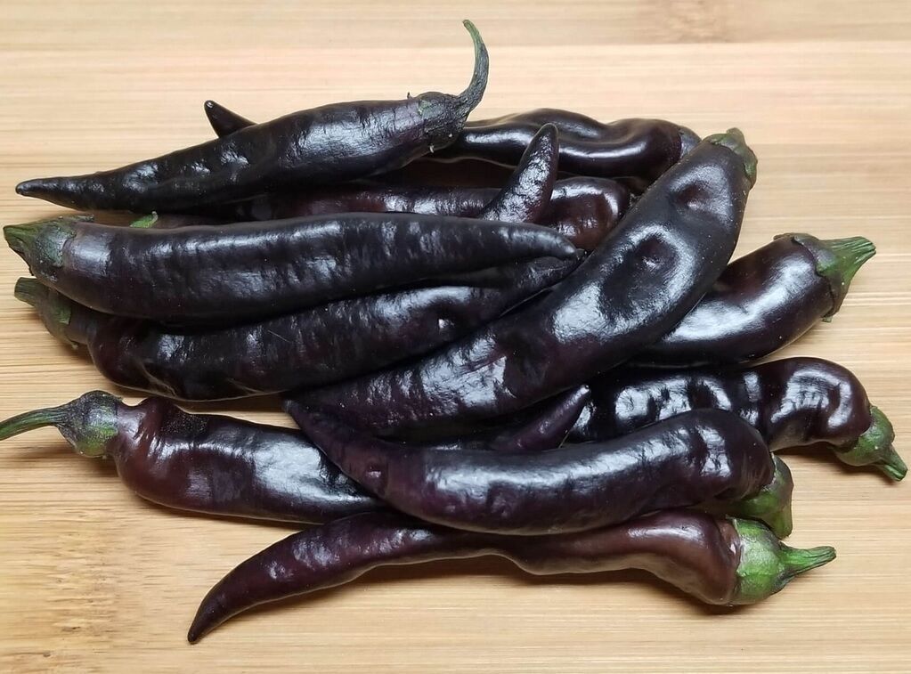 Uzun Siyah Tatlı Biber Tohumu (15 Tohum)