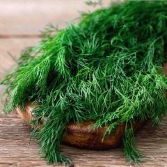 Doğal Geleneksel Uzun Dere Otu Tohumu( 200 Tohum )