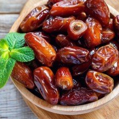 Tüplü Arabistan Hurması Ağacı Fidanı