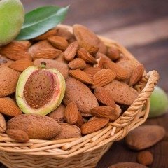 Tüplü Aşılı Özel Çeşit Yüksek Verimli Yarı Bodur Marta Badem Fidanı