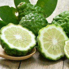Tüplü Aşılı Nadir Bulunan Aromatik Bergamot Fidanı