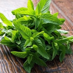 Aura Greyfurt Kokulu Nane Fidesi (5 adet)
