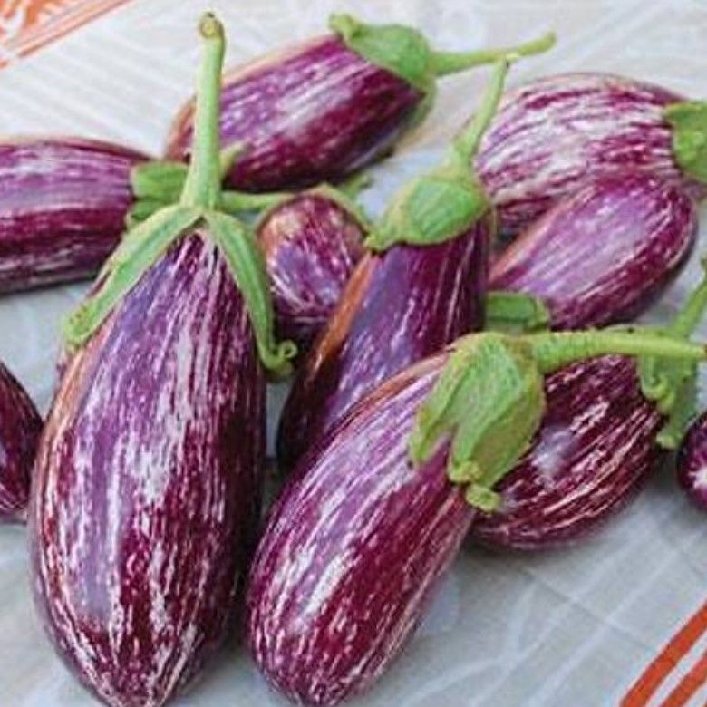 Doğal Az Çekirdekli Manisa Çizgili Patlıcan Tohumu (70 Tohum)
