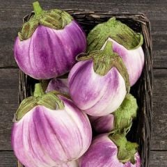 Rosa Bianca Etli Patlıcan Tohumu (15 Tohum)