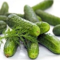 Bol Döken Rocket-F1 Turşuluk Kornişon Hyar Tohumu (10 Tohum)