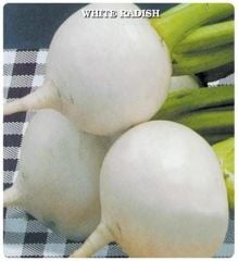 Doğal Geleneksel Anadolu Beyaz Turp Tohumu (50 Tohum)