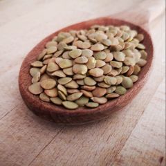 Doğal Geleneksel Yeşil Mercimek Tohumu (20 Tohum)