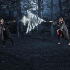 Harry Potter Işıklı Sihirli Asa