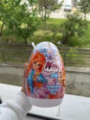 Funmix Winx Süpriz Yumurta Mega Boy