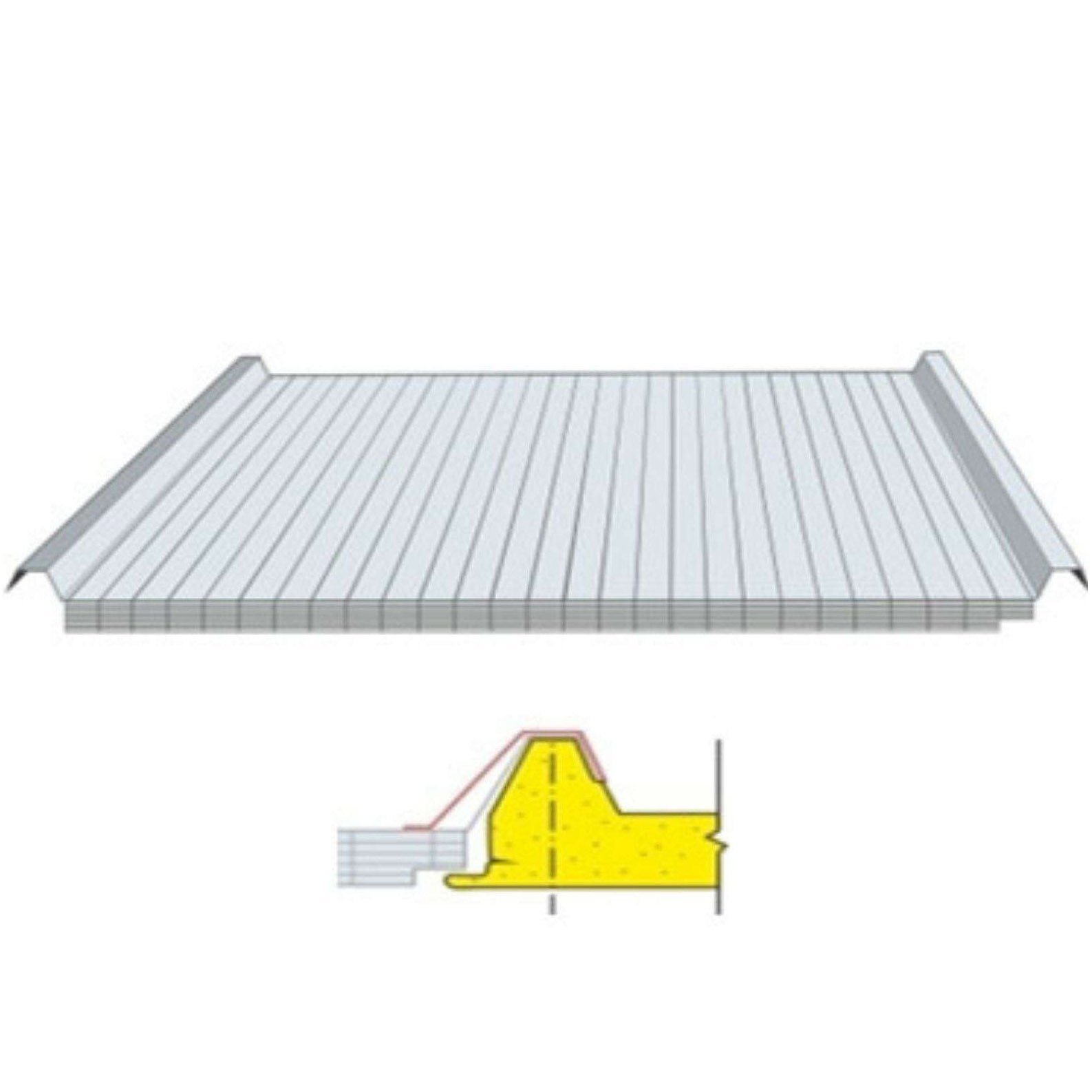 30 mm Şeffaf Çatı Paneli