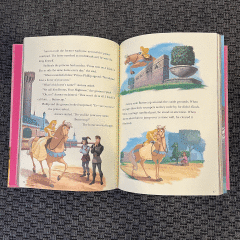 5 Magic Prenses Stories kitap - Oyuncak