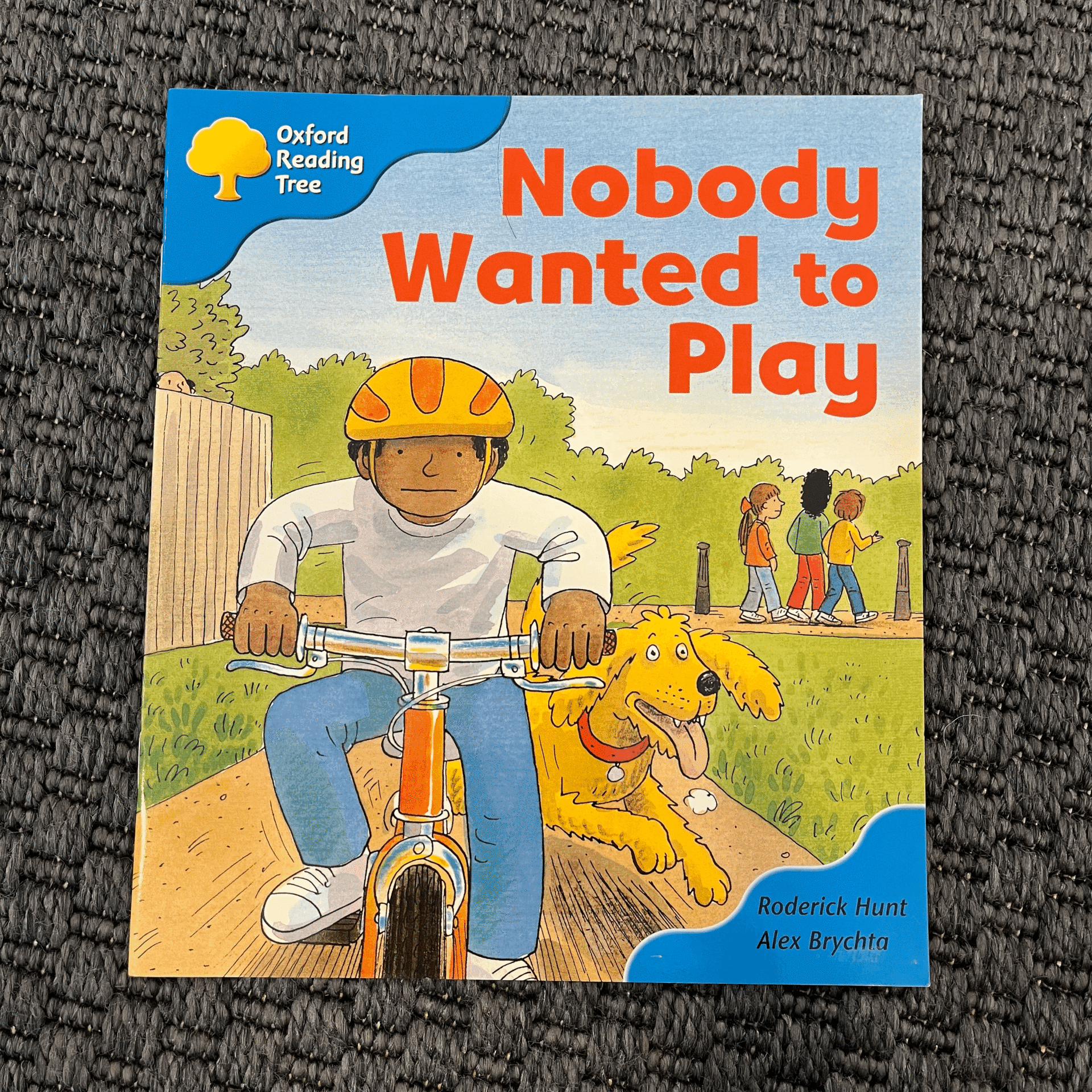 Nobody Wanted To Play Kitap