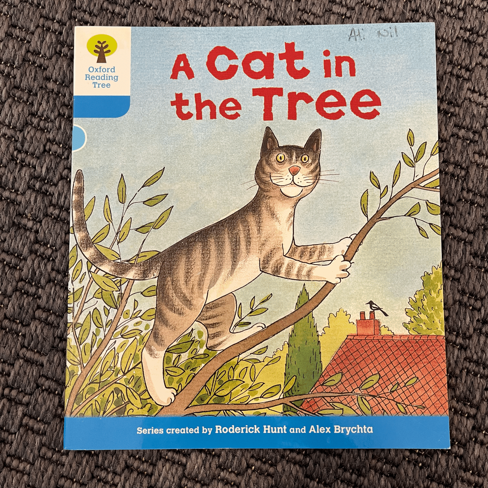 A Cat in The Free Kitap Oyuncak