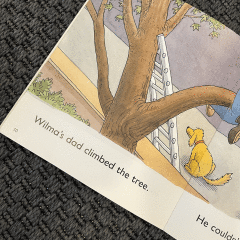 A Cat in The Free Kitap Oyuncak