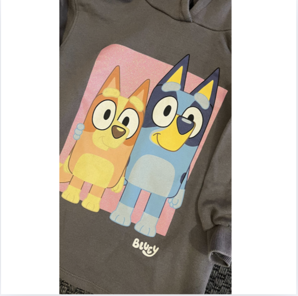 Zara Bluey Sweatshirt 2 3 yaş
