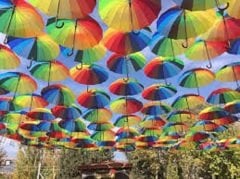 Gökkuşağı Şemsiye 16 Telli Baston 90 Cm 60 Adet Toptan Koli Bazlı 1 Adet 200 Tl