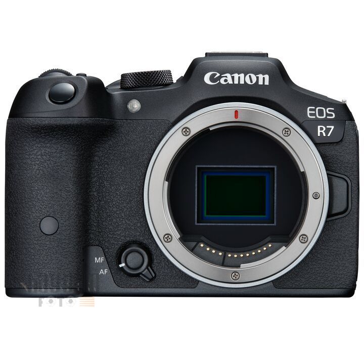 Canon EOS R7 + RF 50mm f/1.8 STM Lens