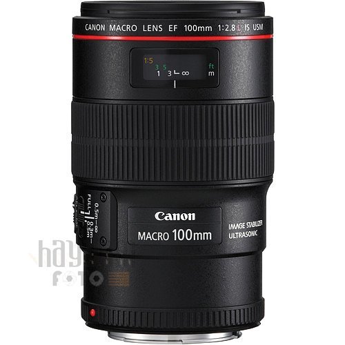 Canon EF 100 mm f/ 2.8 L  IS USM