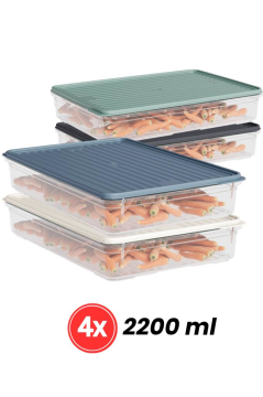 Flora 4'lü Buzdolabı Düzenleyici Set, Buzluk Difriz Derin Dondurucu Buzdolabı Saklama Kabı 4x2200ml