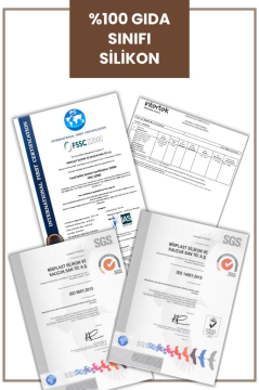 Silicolife 3 Gözlü Silikon Mama Tabağı, Vakum Tabanlı Bebek Porsiyon Tabak - 2 Mama Kaşığı Hediyeli