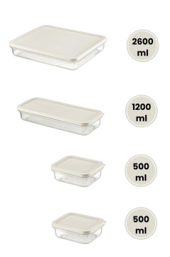 Flora 4’lü Dondurucu Saklama Kabı Seti, Buzdolabı Difriz Erzak Gıda Düzenleyici Set (2600,1200,500,500ml)