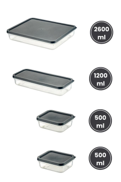 Flora 4’lü Dondurucu Saklama Kabı Seti, Buzdolabı Difriz Erzak Gıda Düzenleyici Set (2600,1200,500,500ml)