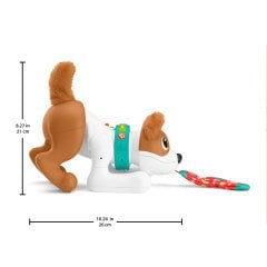 Fisher Price Emeklemeyi ve Saymayı Öğreten Köpekçik HHH13