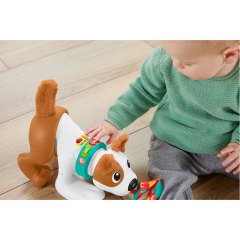 Fisher Price Emeklemeyi ve Saymayı Öğreten Köpekçik HHH13