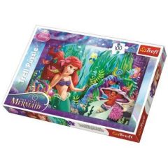 Trefl Puzzle Çocuk 100 Parça Princess Hide And Seek Disney