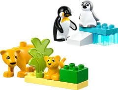 LEGO DUPLO Kasabası Vahşi Hayvan Aileleri Penguenler ve Aslanlar10442