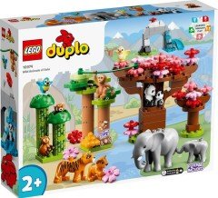 LEGO Duplo Vahşi Asya Hayvanları 10974
