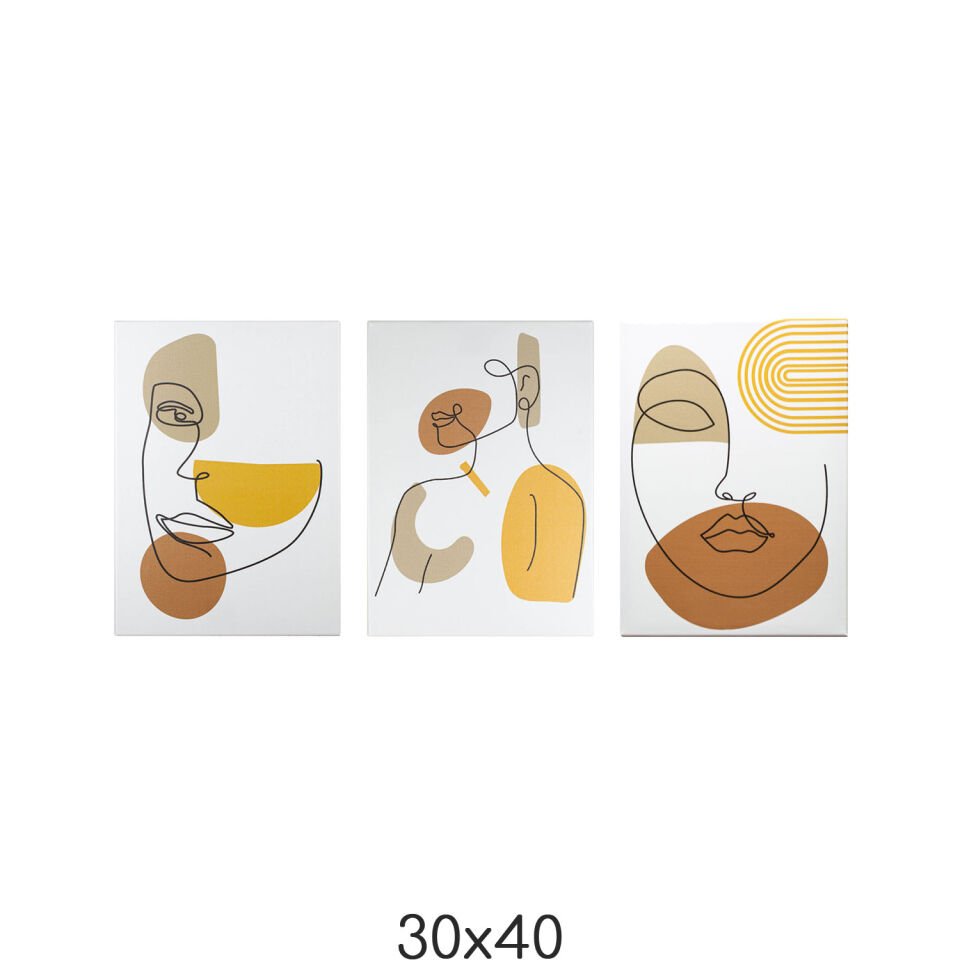 3'lü Kadın Silüeti Minimalist Tablo 30CMX40CM