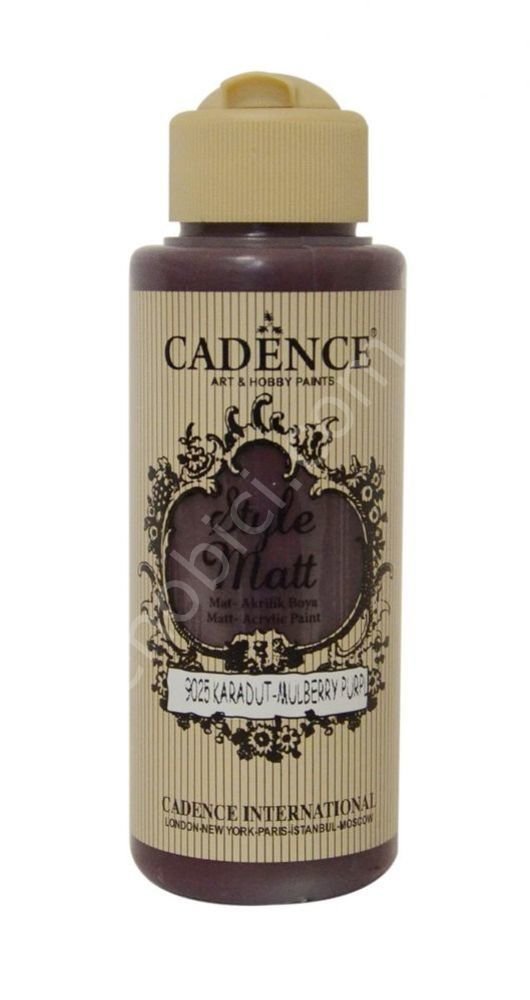 Cadence Style Matt Akrilik Boya S9025 Karadut 120ml