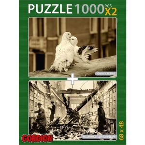 Gordion Puzzle Romantic Pegeons - Holland House London Library (1000x2) Parça