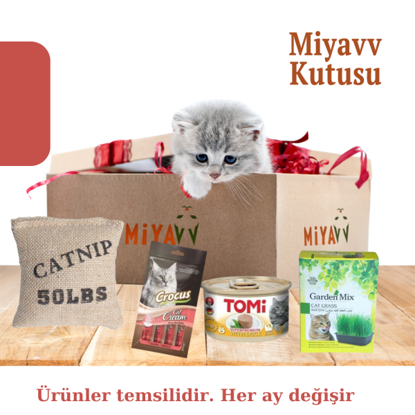 Miyavv Kutusu