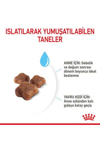 Royal Canın Babycat Yavru Kedi Maması 2 kg