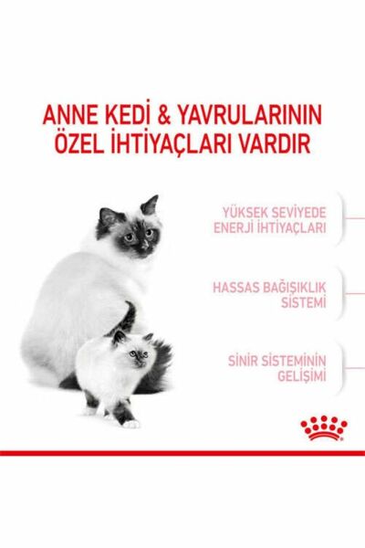Royal Canın Babycat Yavru Kedi Maması 2 kg