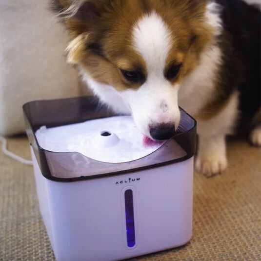 Aclıum Köpek Su Sebili