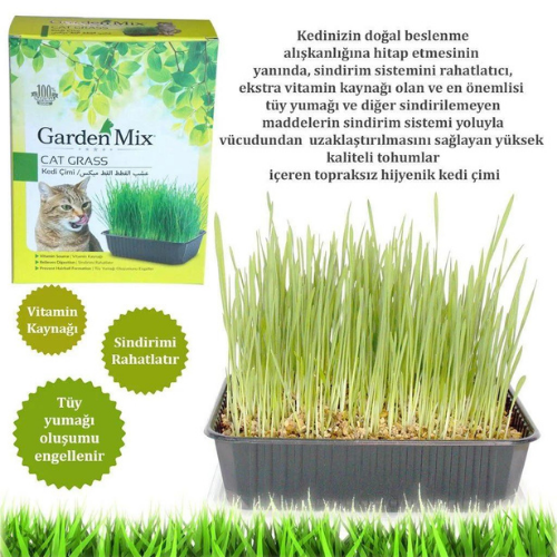 KEDİ HİJYEN