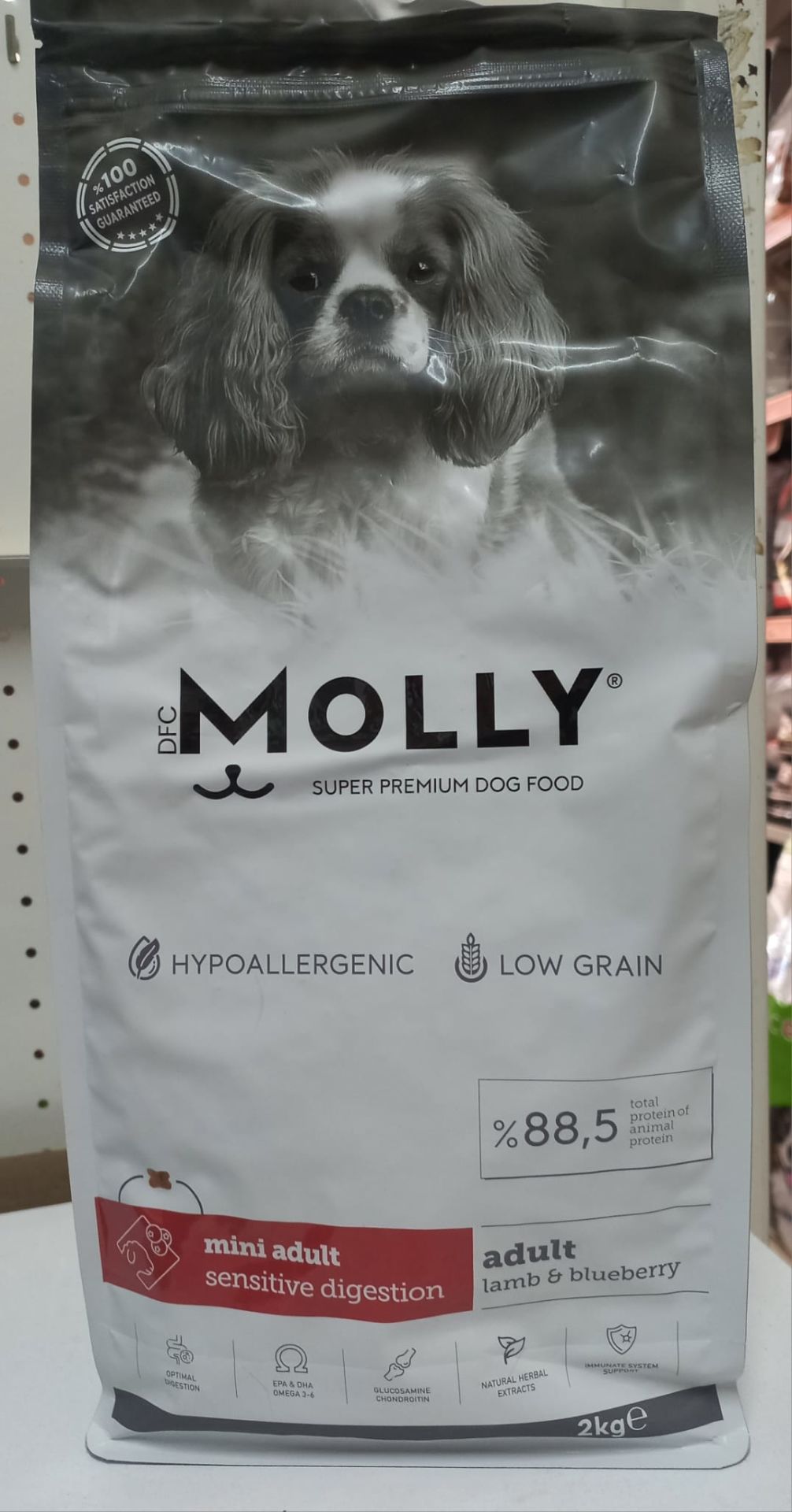 Molly Hypoallergenic Kuzu Etli Mini Irk Yetişkin Köpek Kuru Maması 2 kg (stt:11/2025)