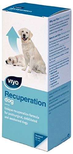 Viyo Recuperation Köpek Ek Besin Takviyesi 150 ml(stt.07/2025)